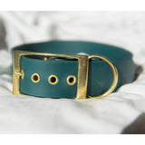 Vienspalvis 4 cm pločio BioThane® diržo antkaklis su diržo sagtimi