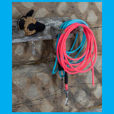 Apvalaus 6 mm BioThane® diržo pavadėliai