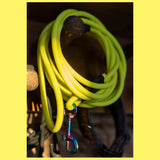 Apvalaus 6 mm BioThane® diržo pavadėliai