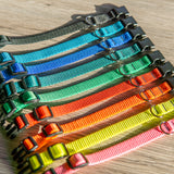 REBEL - 1.6 cm pločio antkaklis šunims