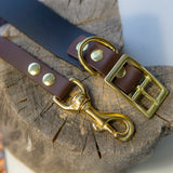 19mm BETA BioThane® pavadėliai