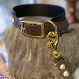 BioThane® diržo antkaklis su sumažinta sagtimi arba grandinėle (2 cm - 5 cm pločio)