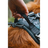 Hurtta Weekend Warrior Harness Raven petnešos