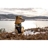 Hurtta Weekend Warrior Harness Raven petnešos