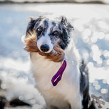 Lapės kailio žaislas DOGGIE ZEN
