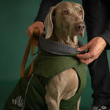 Hurtta Walk All Season Jacket Forest - striukė šunims