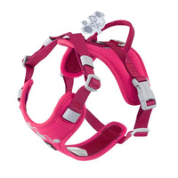 Hurtta Weekend Warrior Harness II ECO Ruby Y formos petnešos