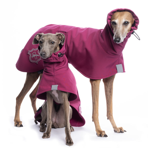 DG rudeninis / pavasarinis lietpaltis BASIC RAINCOAT - "FESTIVAL FUCHSIA"