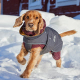 Hurtta Walk All Season Jacket Blackberry - striukė šunims
