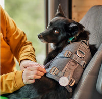 Hurtta Travel Harness Eco - crash tested petnešos