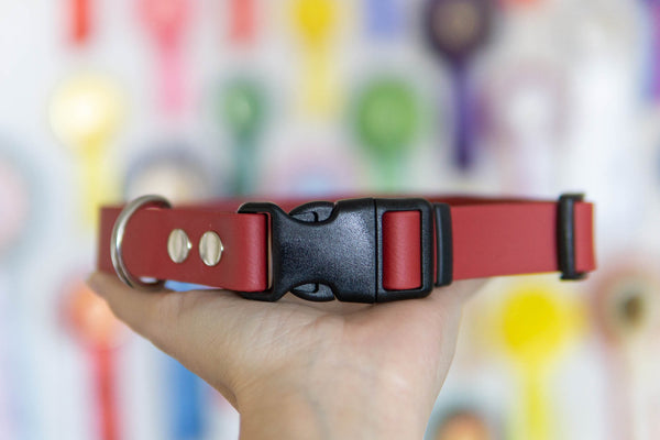 2,5 cm reguliuojamas biotano antkaklis 35-50 cm