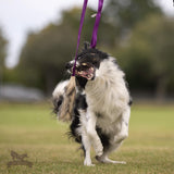 Barsuko kailio žaislas DOGGIE ZEN