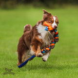 Bebro kailio ir fliso pynė DOGGIE ZEN - L dydžio
