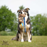 Meškėno kailio ir fliso pynė DOGGIE ZEN