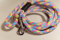 10 mm BASIC virvės pavadėlis